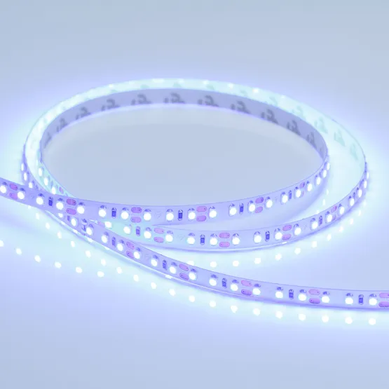 Фото #2 товара Светодиодная лента RT 2-5000 12V Blue 2x (3528, 600 LED, LUX) (Arlight, 9.6 Вт/м, IP20)