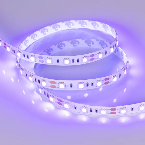 Фото #3 товара Светодиодная лента RT 2-5000 12V UV400 2x (5050, 300 LED, LUX) (Arlight, 14.4 Вт/м, IP20)