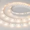 Минифото #2 товара Светодиодная лента RT 2-5000 12V Warm2700 (5060, 150 LED, LUX) (Arlight, 7.2 Вт/м, IP20)