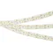 Минифото #2 товара Светодиодная лента RT-5000-2835-320 24V White6000 (15mm, 24W/m, IP20) (Arlight, высок.эфф.150 лм/Вт)