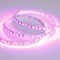 Минифото #2 товара Светодиодная лента RT 2-5000 12V Pink 2X (3528, 600 LED, LUX) (Arlight, 9.6 Вт/м, IP20)