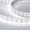 Минифото #4 товара Светодиодная лента RT 2-5000 24V White6000 2x2 (5060, 600 LED, LUX) (Arlight, 28.8 Вт/м, IP20)