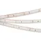 Минифото #1 товара Светодиодная лента RTW 2-5000PS 12V White6000 (3528, 300 LED, LUX) (Arlight, 4.8 Вт/м, IP67)